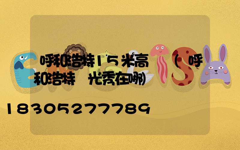 呼和浩特15米高桿燈(呼和浩特燈光秀在哪)