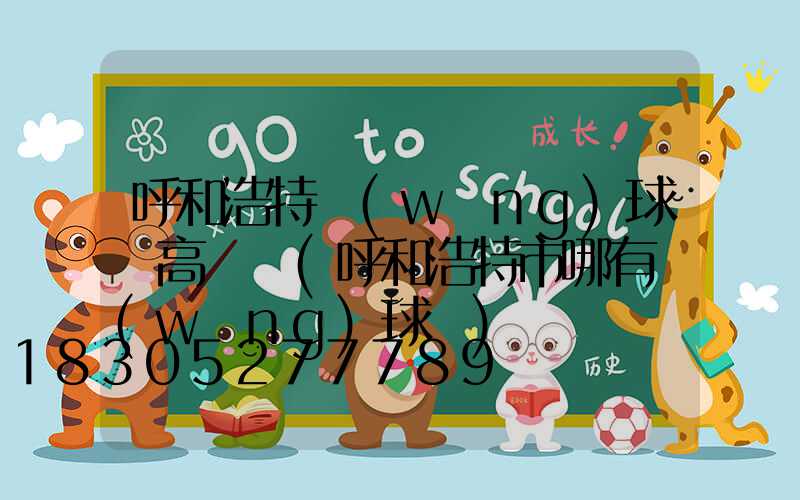 呼和浩特網(wǎng)球場高桿燈(呼和浩特市哪有網(wǎng)球館)