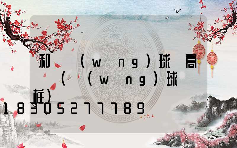 和龍網(wǎng)球場高桿燈(網(wǎng)球場燈柱)