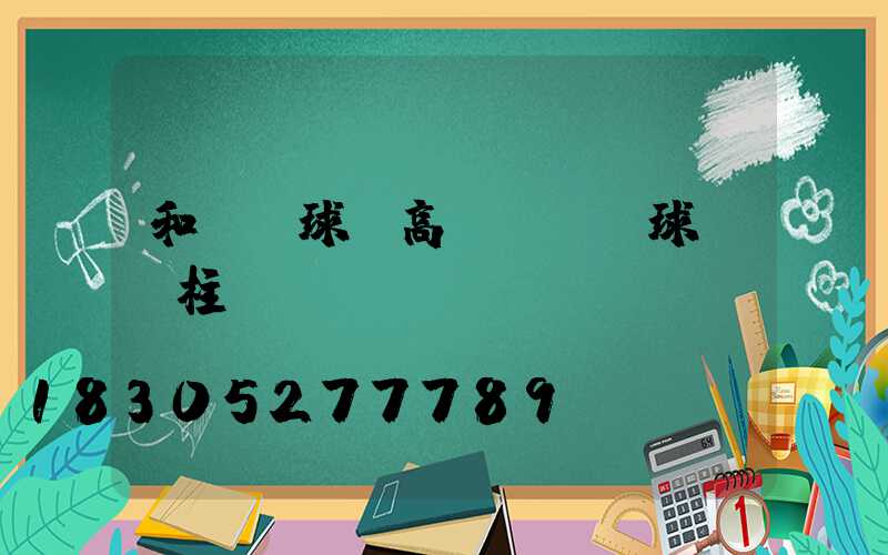 和龍網球場高桿燈(網球場燈柱)