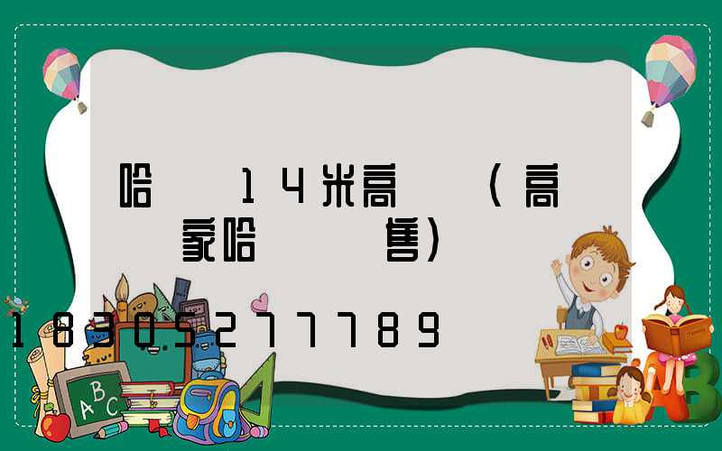 哈爾濱14米高桿燈(高桿燈廠家哈爾濱銷售)
