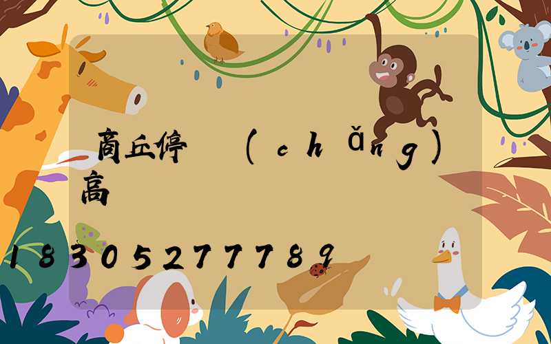 商丘停車場(chǎng)高桿燈