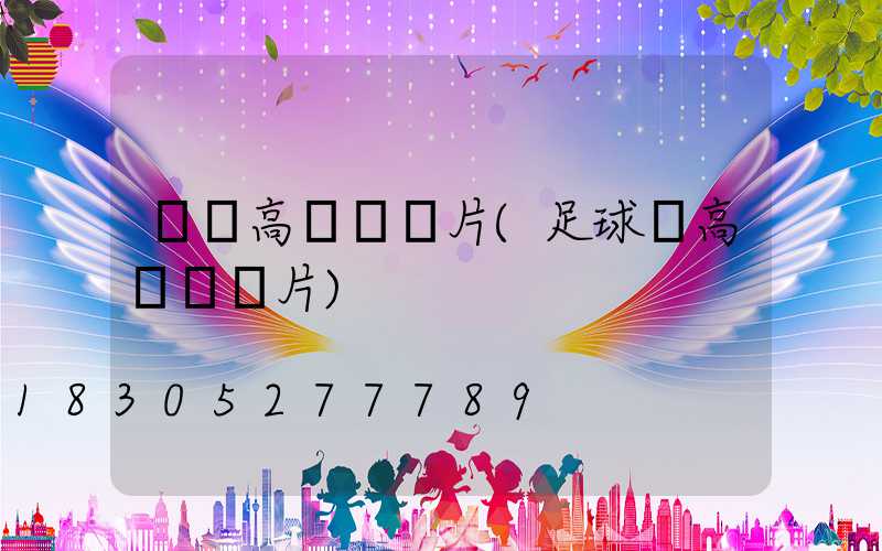 單頭高桿燈圖片(足球場高桿燈圖片)