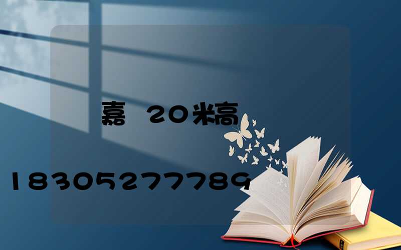 嘉興20米高桿燈