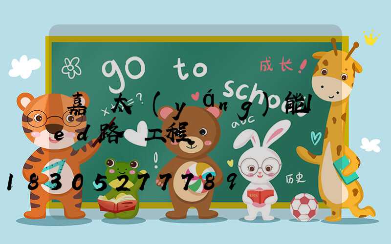 嘉興太陽(yáng)能led路燈工程