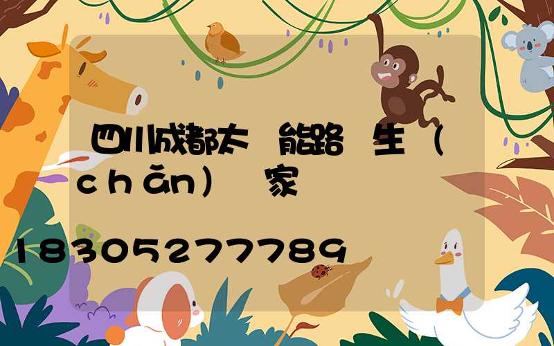 四川成都太陽能路燈生產(chǎn)廠家