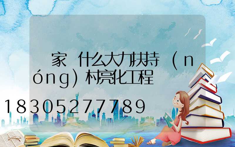 國家為什么大力扶持農(nóng)村亮化工程