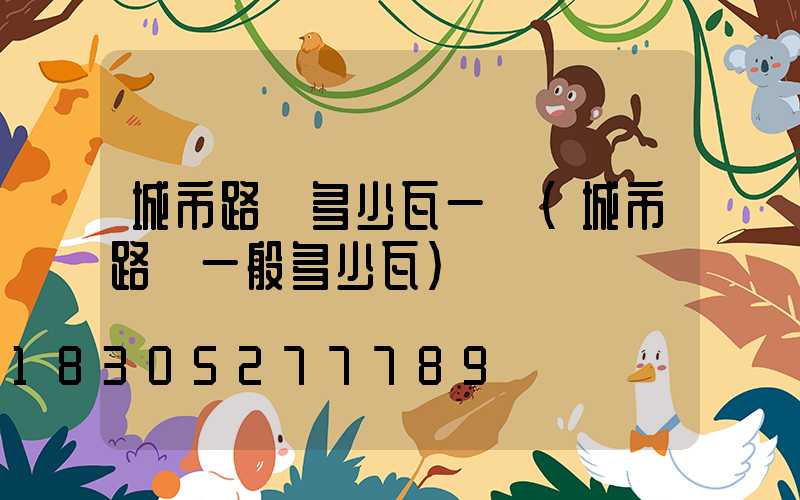 城市路燈多少瓦一個(城市路燈一般多少瓦)