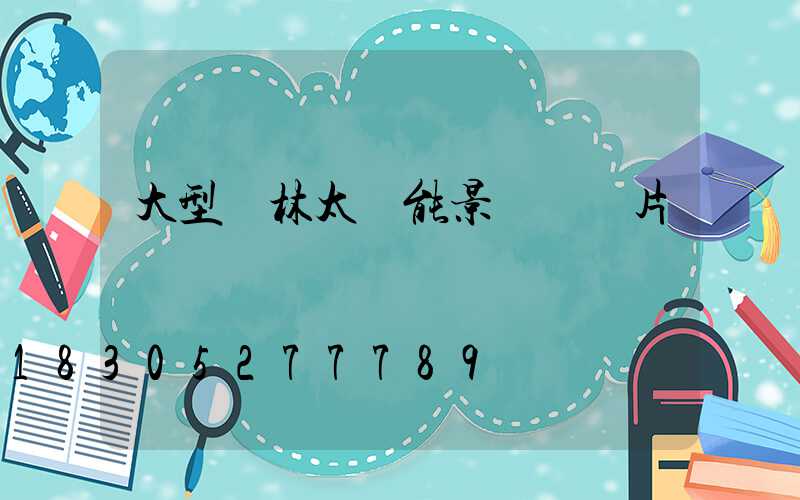 大型園林太陽能景觀燈圖片