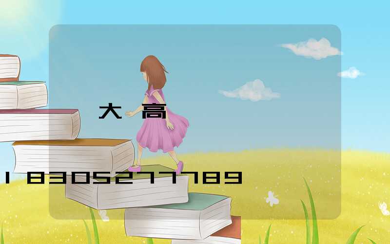 大張高桿燈