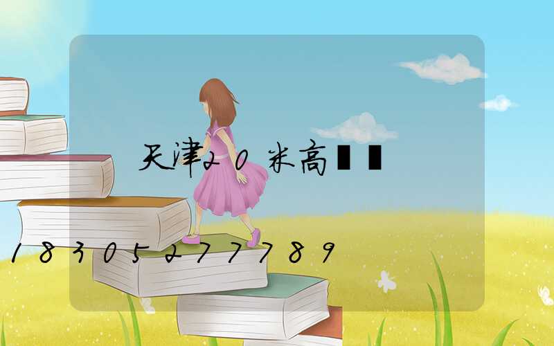天津20米高桿燈