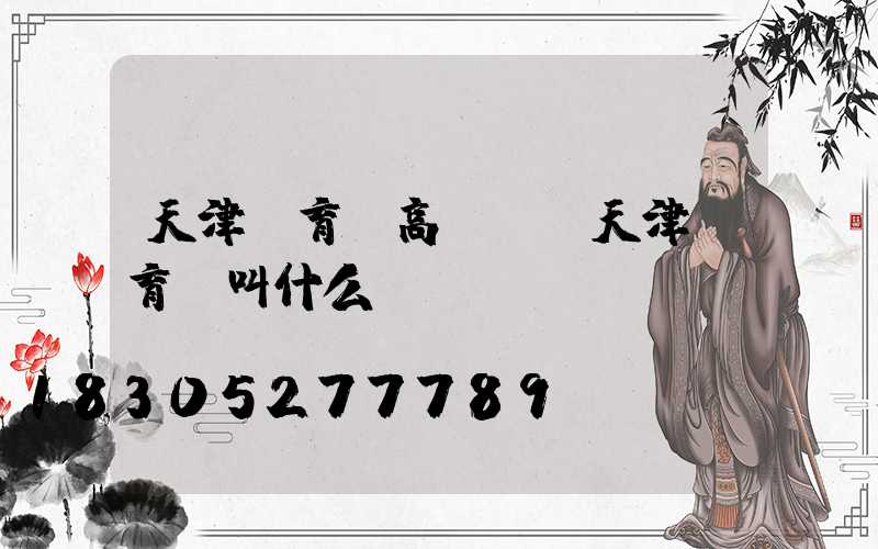 天津體育館高桿燈(天津體育館叫什么)