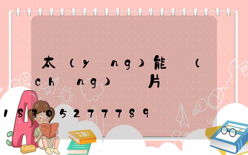 太陽(yáng)能殺蟲(chóng)燈圖片