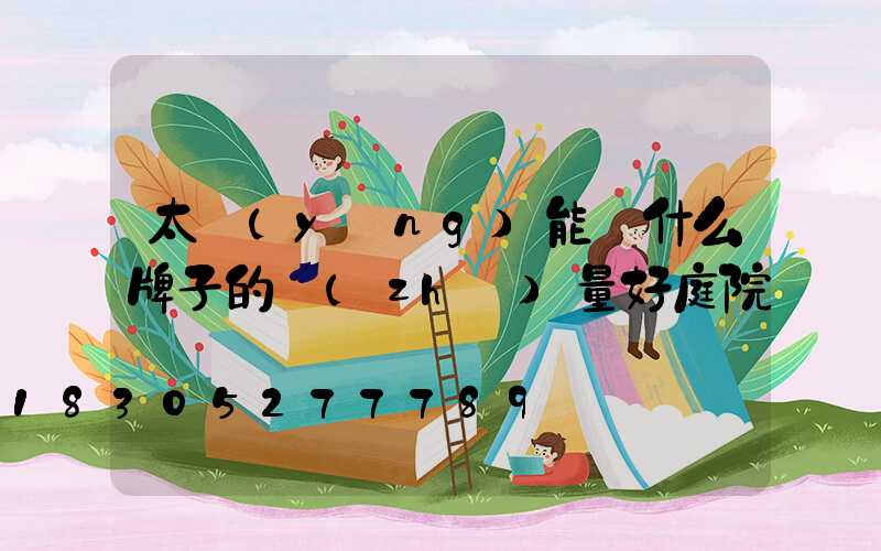 太陽(yáng)能燈什么牌子的質(zhì)量好庭院燈