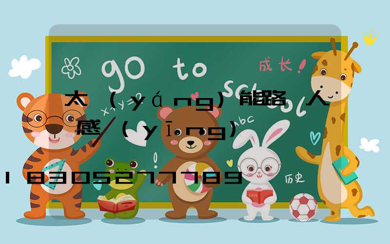 太陽(yáng)能路燈人體感應(yīng)燈