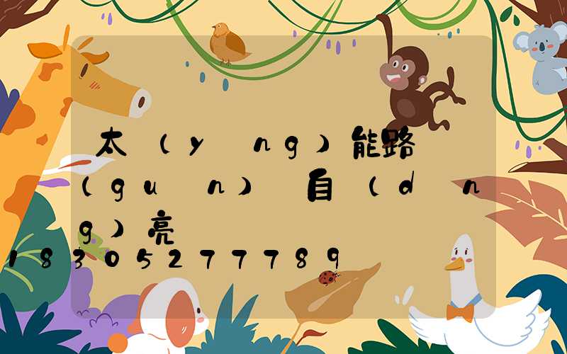 太陽(yáng)能路燈關(guān)閉自動(dòng)亮