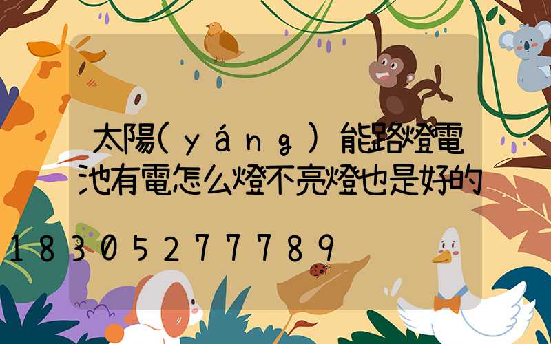 太陽(yáng)能路燈電池有電怎么燈不亮燈也是好的