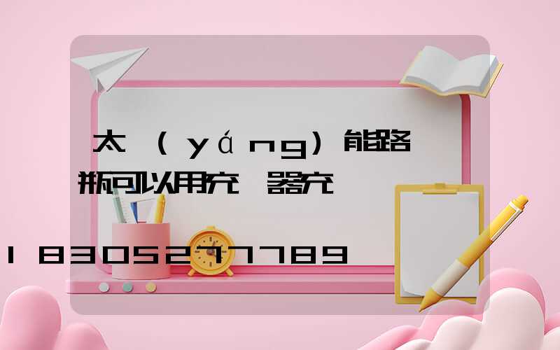 太陽(yáng)能路燈電瓶可以用充電器充電嗎