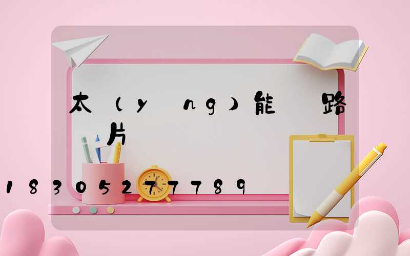 太陽(yáng)能雙頭路燈圖片