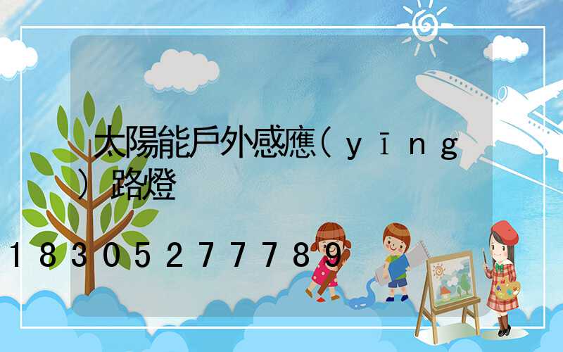 太陽能戶外感應(yīng)路燈