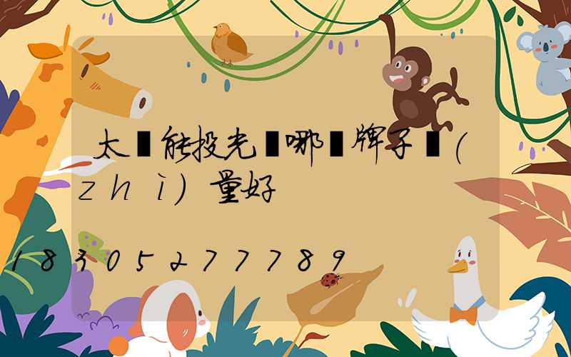 太陽能投光燈哪個牌子質(zhì)量好