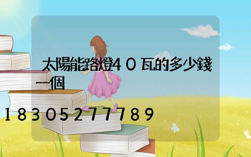 太陽能路燈40瓦的多少錢一個