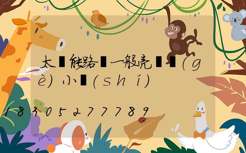 太陽能路燈一般亮幾個(gè)小時(shí)