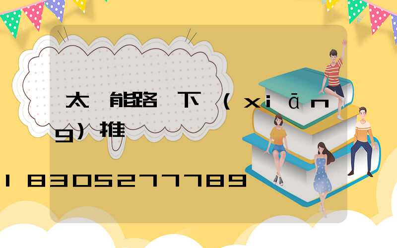 太陽能路燈下鄉(xiāng)推銷