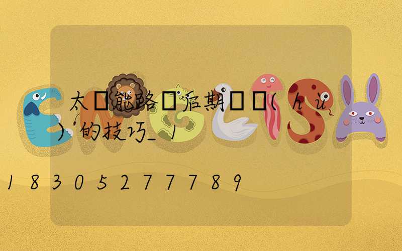 太陽能路燈后期維護(hù)的技巧_1