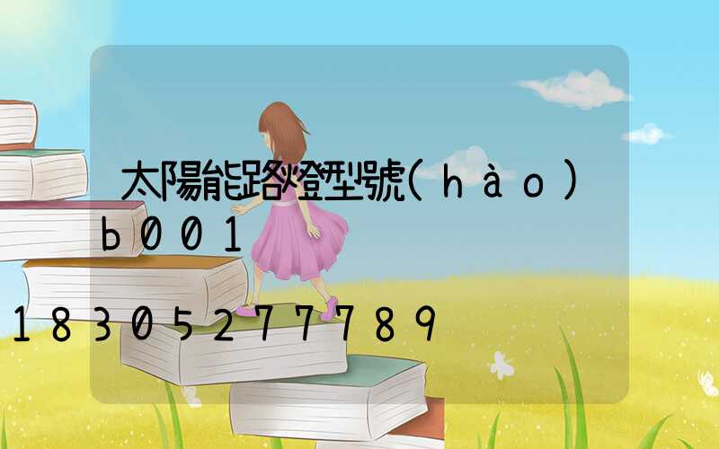 太陽能路燈型號(hào)b001