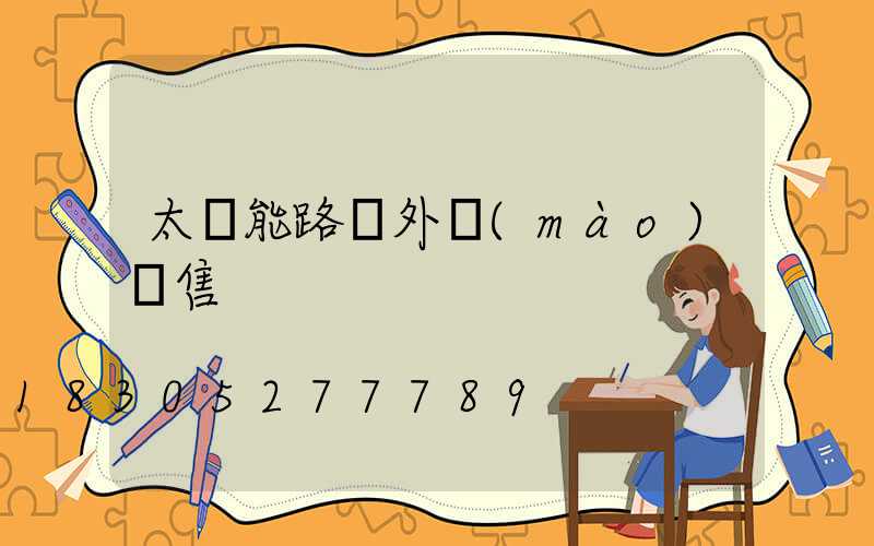 太陽能路燈外貿(mào)銷售