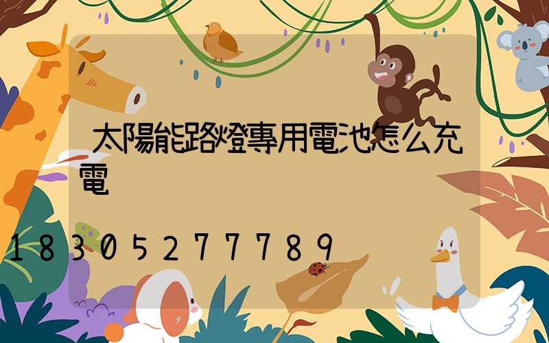太陽能路燈專用電池怎么充電