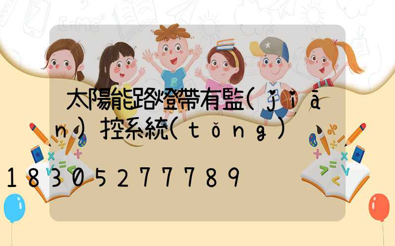 太陽能路燈帶有監(jiān)控系統(tǒng)