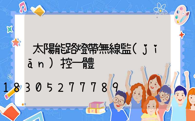 太陽能路燈帶無線監(jiān)控一體