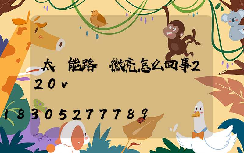 太陽能路燈微亮怎么回事220v