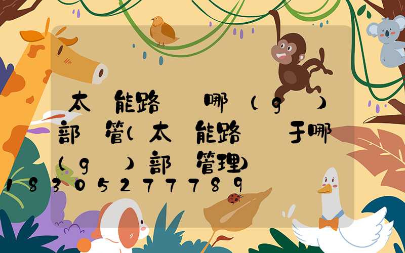 太陽能路燈歸哪個(gè)部門管(太陽能路燈屬于哪個(gè)部門管理)