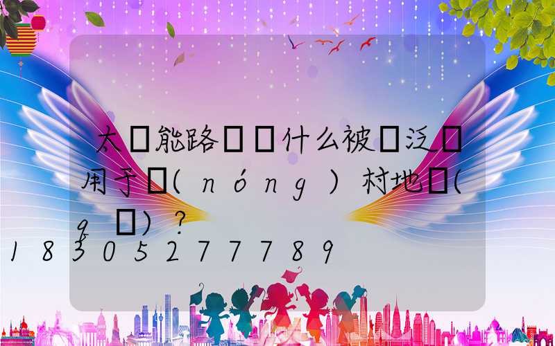 太陽能路燈為什么被廣泛運用于農(nóng)村地區(qū)？