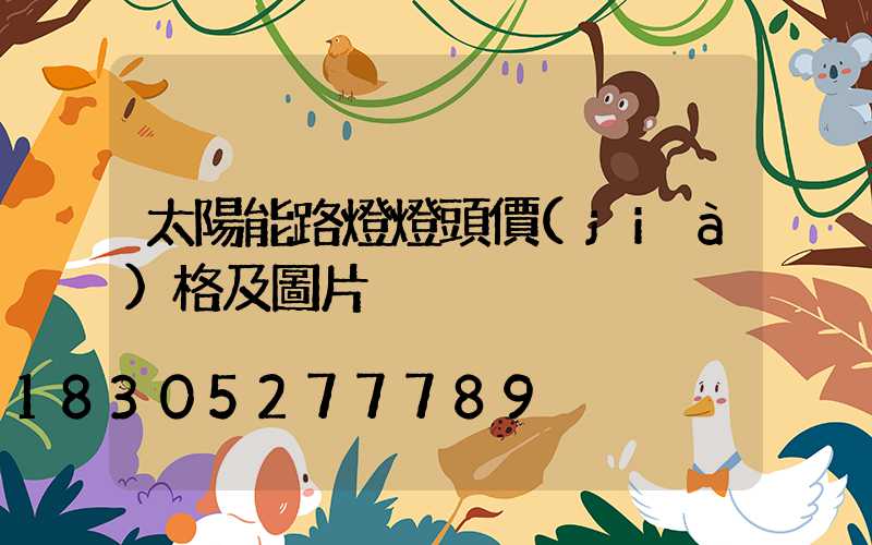 太陽能路燈燈頭價(jià)格及圖片