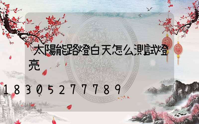 太陽能路燈白天怎么測試燈亮
