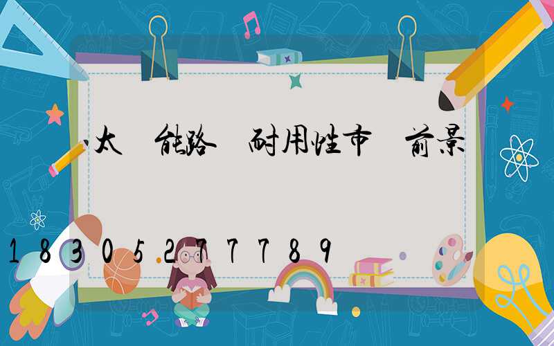 太陽能路燈耐用性市場前景