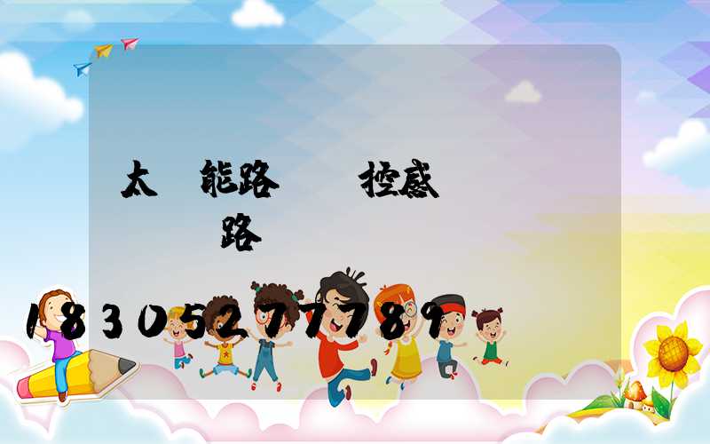 太陽能路燈聲控感應(yīng)路燈