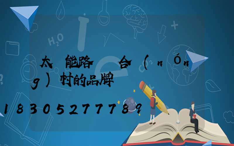 太陽能路燈適合農(nóng)村的品牌