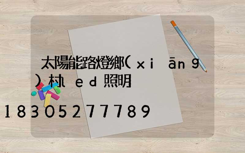 太陽能路燈鄉(xiāng)村led照明