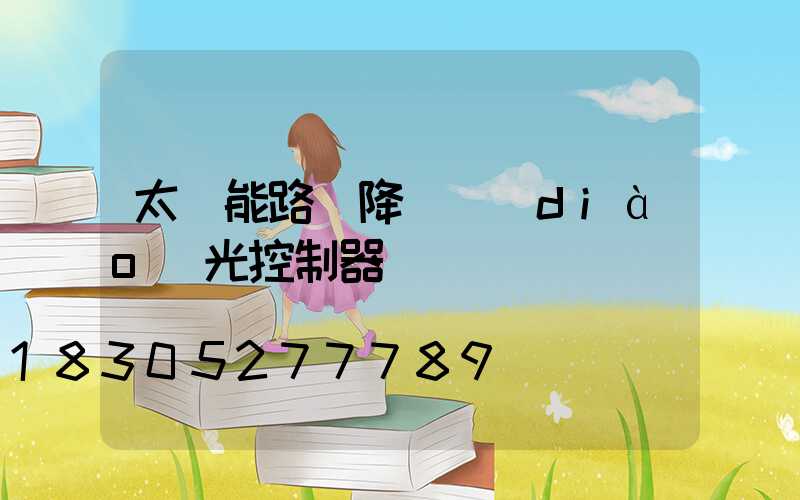 太陽能路燈降壓調(diào)光控制器