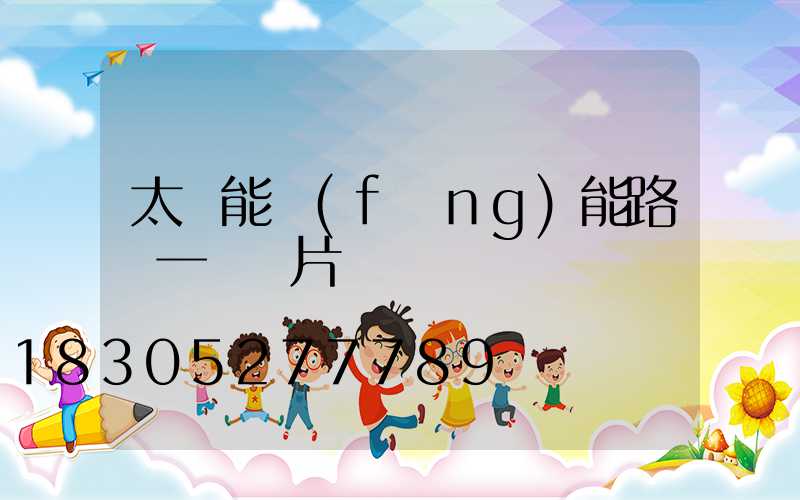 太陽能風(fēng)能路燈一體圖片