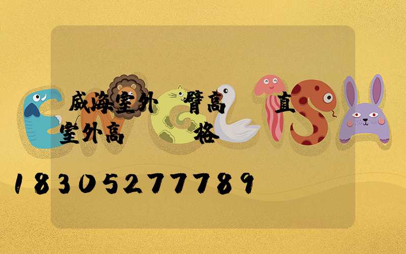 威海室外雙臂高桿燈直銷(室外高桿燈價格)