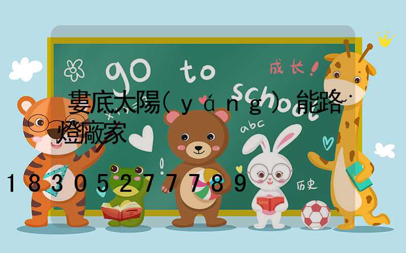婁底太陽(yáng)能路燈廠家