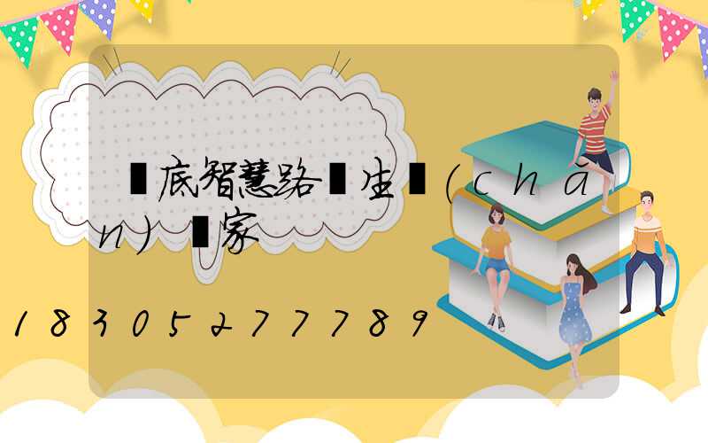 婁底智慧路燈生產(chǎn)廠家