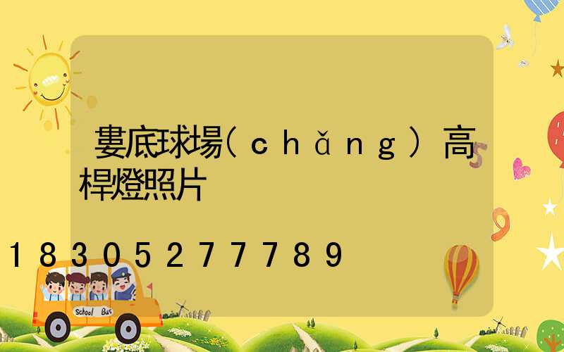 婁底球場(chǎng)高桿燈照片