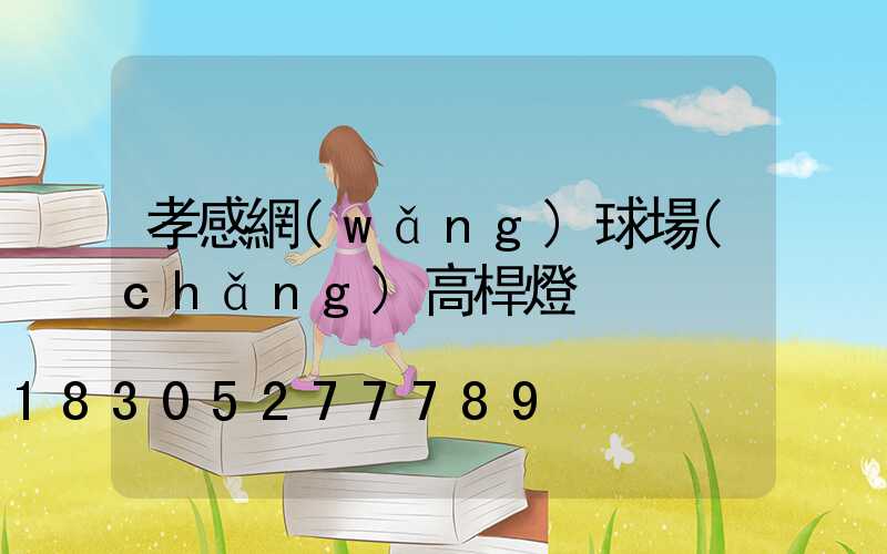 孝感網(wǎng)球場(chǎng)高桿燈